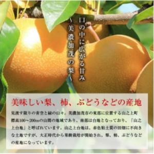 ふるさと納税 美濃加茂市 岐阜県美濃加茂市 :...の詳細画像2