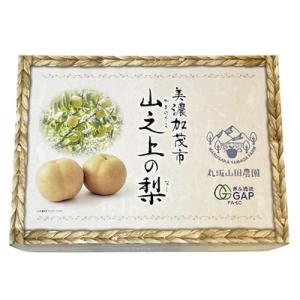 ふるさと納税 美濃加茂市 岐阜県美濃加茂市 :...の詳細画像3