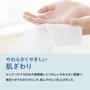 ふるさと納税 津山市 【津山工場限定】エリエー...の詳細画像1