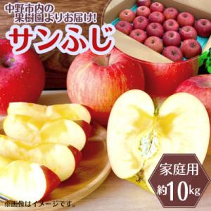 ふるさと納税 中野市 ◆2027年1月中発送◆りんご サンふじ家庭用 約10kg(24〜42玉)
