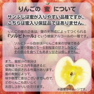 ふるさと納税 中野市 ◆2027年1月中発送◆...の詳細画像2