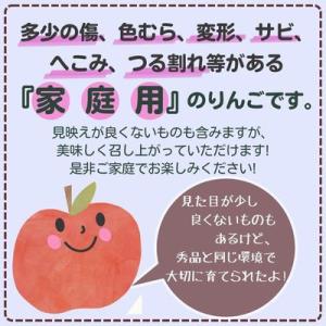 ふるさと納税 中野市 ◆2027年1月中発送◆...の詳細画像3