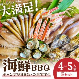 ふるさと納税 京丹後市 大満足!京丹後・海鮮BBQ　Eセット　豪華盛り合わせ　生ズワイガニ付　6種2...