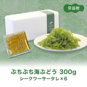 ふるさと納税 糸満市 「ぷちぷち海ぶどう」まご...の詳細画像2
