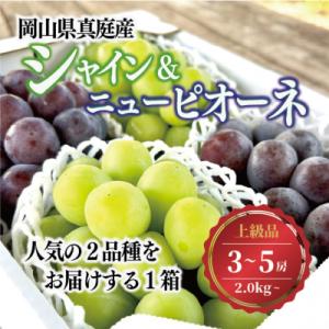 ふるさと納税 真庭市 シャインマスカット&amp...の商品画像