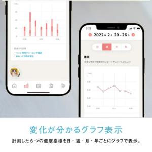 ふるさと納税 湖西市 トレッタ Toletta...の詳細画像2