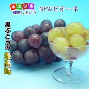 ふるさと納税 坂出市 ニューピオーネ 約1kg...の詳細画像2