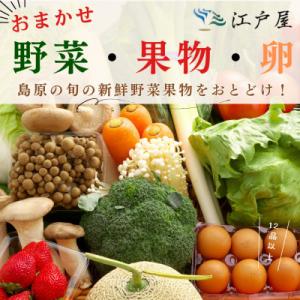 ふるさと納税 島原市 旬の野菜・フルーツ・卵(6個)おまかせセット