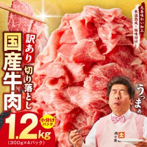 ふるさと納税 泉佐野市 【TVで紹介!】国産牛肉 切り落とし 1.2kg 300g×4P【氷温熟成×極味付け】mrz0362