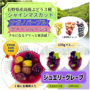 ふるさと納税 中野市 【長野県産】ジュエリーグレープ〔2パック〕〔高級ぶどう3種使用〕〔化学合成添加...