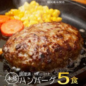 ふるさと納税 中間市 本格調理済ハンバーグ5食 ...の商品画像