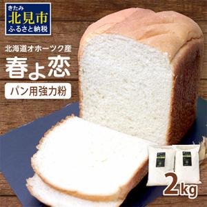 ふるさと納税 北見市 【北海道オホーツク産】パン用小麦粉(強力粉)春よ恋 2kg