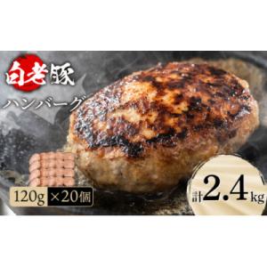 ふるさと納税 白老町 北海道産 白老豚ハンバーグ 120g×20個セット