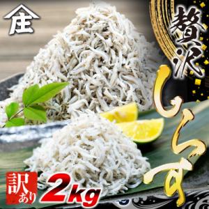 ふるさと納税 南知多町 訳ありしらす干し 2kg (1kg×2箱) 冷凍 減塩 南知多町師崎 山庄水産