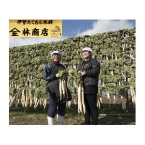 ふるさと納税 伊勢市 らっきょう酢漬 3袋 老...の詳細画像2
