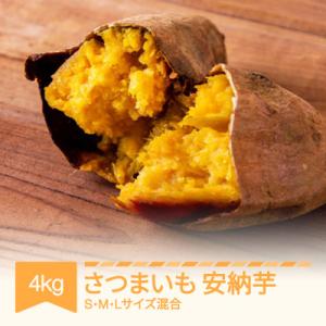 ふるさと納税 村山市 安納芋 4kg