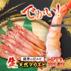 ふるさと納税 枕崎市 【薩摩の甘エビ】大きいサイズ　天然タカエビ500g　A1-10