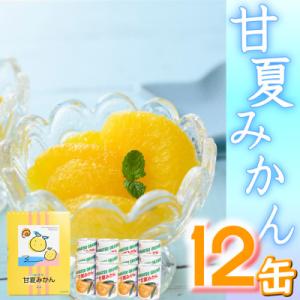ふるさと納税 宇城市 【 JA 熊本うき】≪数量限定≫ 三角特産 甘夏みかん缶詰 12缶入り★