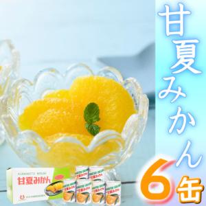 ふるさと納税 宇城市 【 JA 熊本うき】≪数量限定≫ 三角特産 甘夏みかん缶詰 6缶入り★