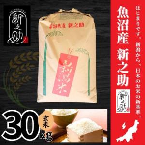 ふるさと納税 十日町市 【令和8年産】魚沼産新之助(玄米)30kg
