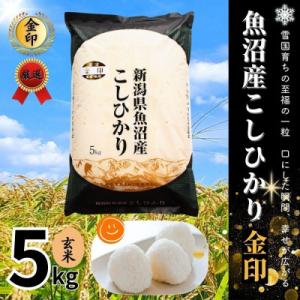 ふるさと納税 十日町市 【令和8年産】魚沼産コシヒカリ金印(玄米)5kg
