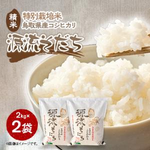 ふるさと納税 智頭町 I1-4 源流そだち(お米)2kg×2袋
