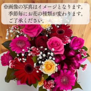 ふるさと納税 桜川市 お花いっぱい お花屋さん...の詳細画像3