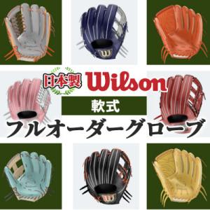 ふるさと納税 阿久根市 【軟式】Wilson 軟式フルオーダーグローブ(一式) 【アクネスポーツ】a...