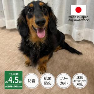ふるさと納税 和泉市 カーペット 江戸間 4.5畳 防音 ペット対応 厚手 ナンテン 261×261...