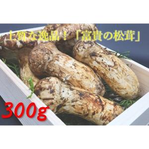 ふるさと納税 九度山町 松茸　300g　【和歌山県産】香り高く希少な国産!
