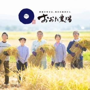 ふるさと納税 上越市 【令和7年産 2025年...の詳細画像2