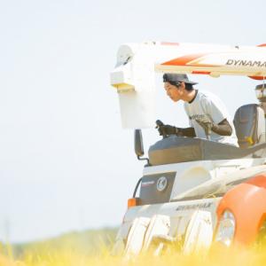 ふるさと納税 上越市 【令和7年産 2025年...の詳細画像3
