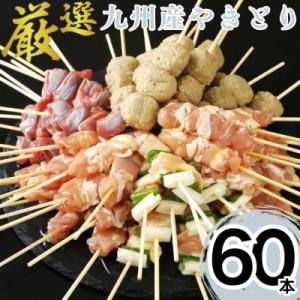 ふるさと納税 八代市 九州産焼き鳥5種 60本セット