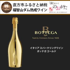 ふるさと納税 直方市 福智山ダム熟成スパークリングワインゴールド　FD311