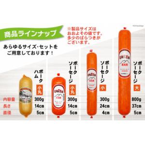 ふるさと納税 島原市 雲仙ハム ポークソーセー...の詳細画像2