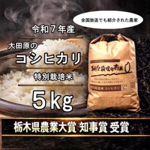 ふるさと納税 大田原市 栃木県大田原産コシヒカリ 白米5kg|特別栽培米|栃木県農業大賞知事賞受賞農家