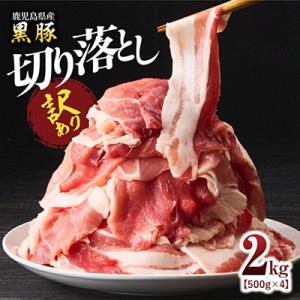 ふるさと納税 鹿屋市 【訳あり】鹿児島県産黒豚 切り落とし2kg(500g×4パック)　1781　