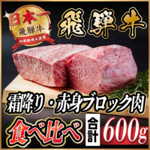 ふるさと納税 羽島市 飛騨牛　霜降り・赤身ブロック肉　食べ比べ　約600g(各約300g)【冷蔵便】...