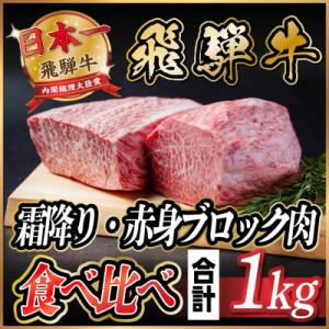 ふるさと納税 羽島市 飛騨牛　霜降り・赤身ブロック肉　食べ比べ　約1kg(各約500g)【冷蔵便】A...