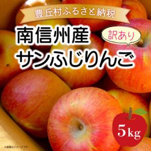 ふるさと納税 豊丘村 【豊丘村】訳あり 南信州産サンふじりんご 5kg【12月中旬より発送予定】