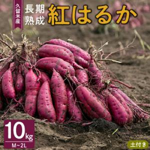 ふるさと納税 久留米市 福岡県久留米市産　長期熟成紅はるか 10kg　M〜2L　土付
