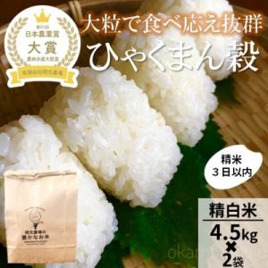 ふるさと納税 能美市 【日本農業賞大賞】令和7年産ひゃくまん穀9kg(4.5kg×2)精白米