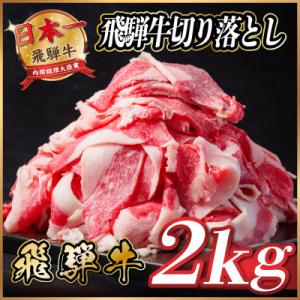 ふるさと納税 羽島市 飛騨牛　切り落とし　約2kg(約500g×4パック)【冷蔵便】訳あり