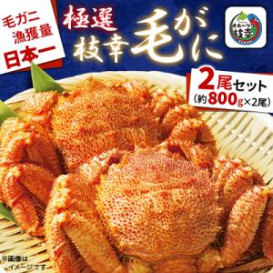 ふるさと納税 枝幸町 漁獲量日本一 枝幸毛がに 2尾セット(約800g×2尾) 北海道枝幸町産