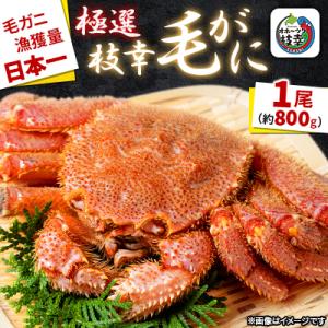 ふるさと納税 枝幸町 漁獲量日本一 枝幸毛がに 1尾(約800g) 北海道枝幸町産