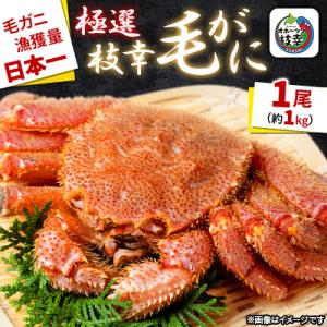ふるさと納税 枝幸町 漁獲量日本一 枝幸毛がに 1尾(約1kg) 北海道枝幸町産