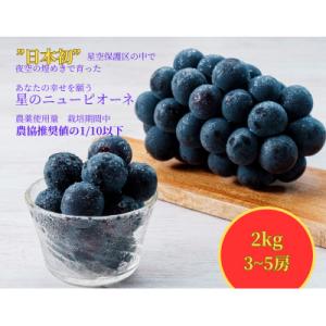 ふるさと納税 井原市 岡山県井原市美星町産　ニューピオーネ　2kg箱(3〜5房入り)ご家庭用 【令和...
