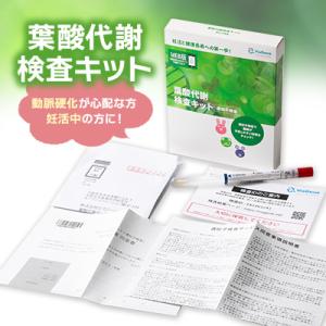 ふるさと納税 茨木市 葉酸代謝遺伝子検査キット