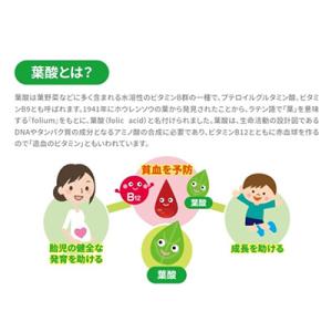 ふるさと納税 茨木市 葉酸代謝遺伝子検査キットの詳細画像2