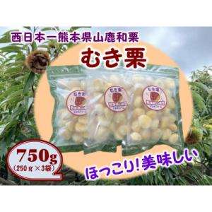 ふるさと納税 山鹿市 熊本県山鹿和栗【冷凍むき栗】(750g)